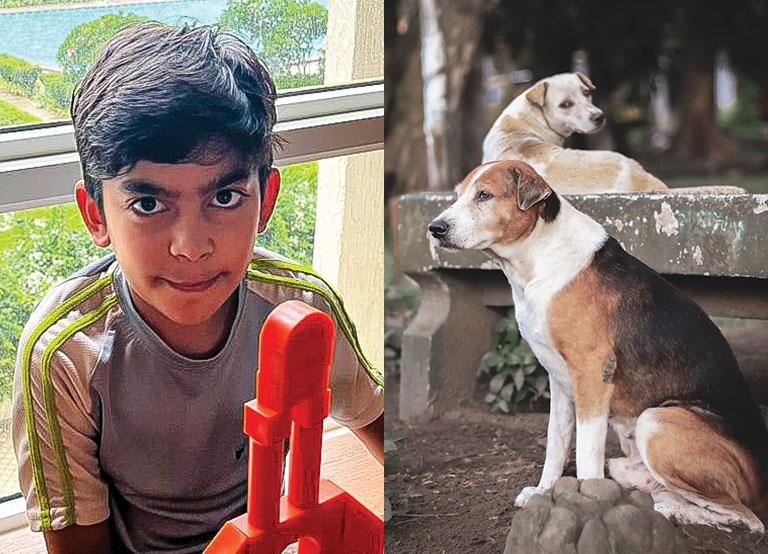 RobinAge Cover Story - Protecting Animals