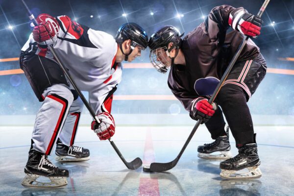 Young Ice Hockey Champs