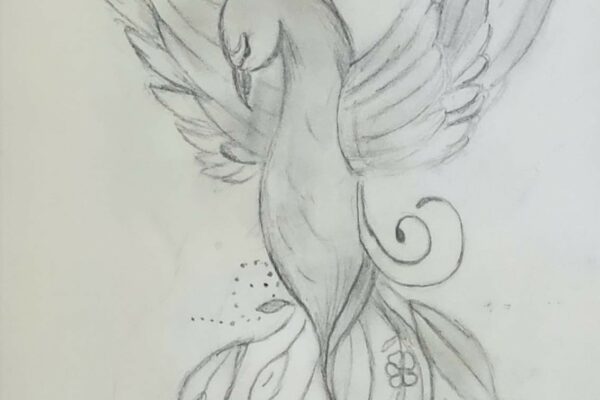 Rising from the Ashes