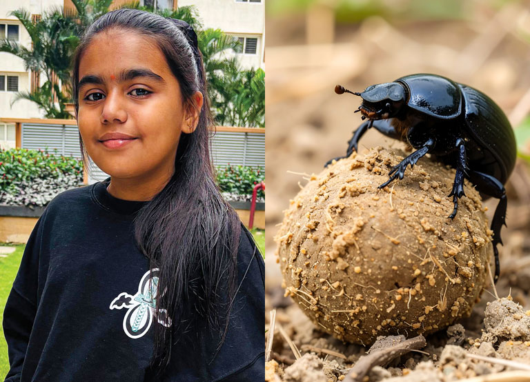 RobinAge Cover Story - Protecting Animals