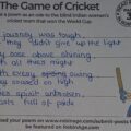 The Game of Cricket