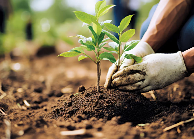 Climate Change: Why Every Action Matters for Our Planet