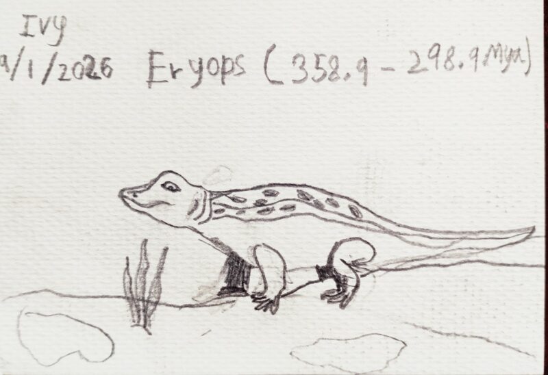 Prehistoric Amphibian