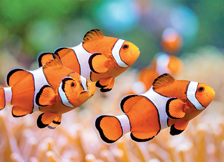 The Ocean Is Changing!