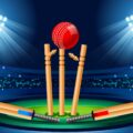 The Game of Cricket