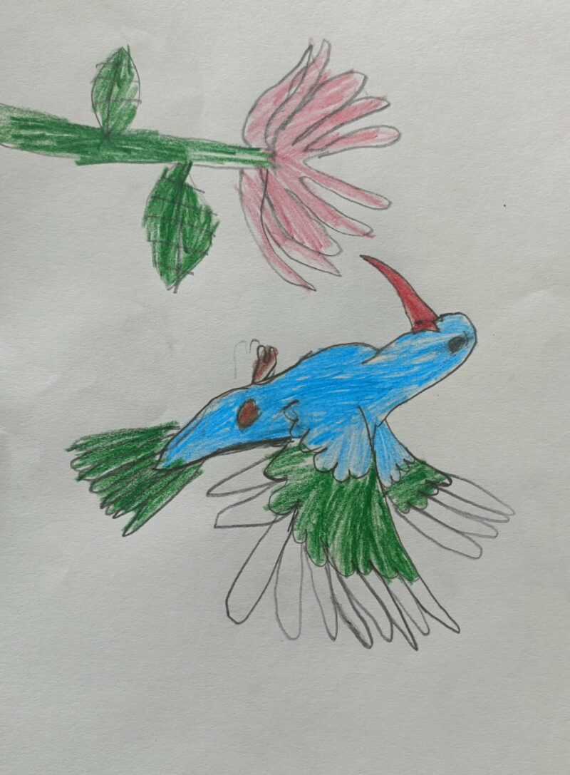 Blue Bird & Pink Bloom