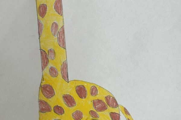 Giffy – The Giraffe