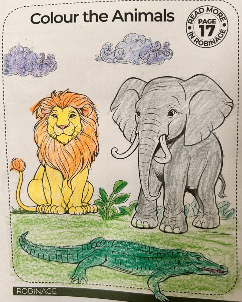 Colour the Animals